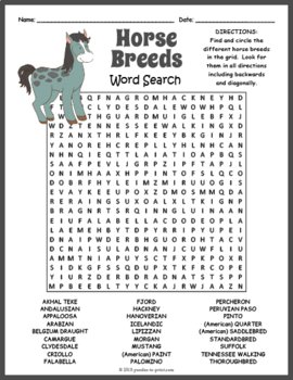 Horse Breeds Word Search by Puzzles to Print | Teachers Pay Teachers