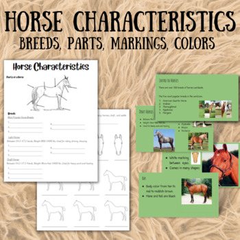 Preview of Horse Characteristics Notes