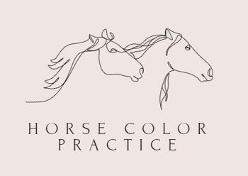Preview of Horse Color Practice