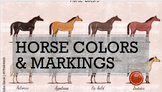 Horse Colors and Markings (4H, FFA, Equine/Animal/Agriscie