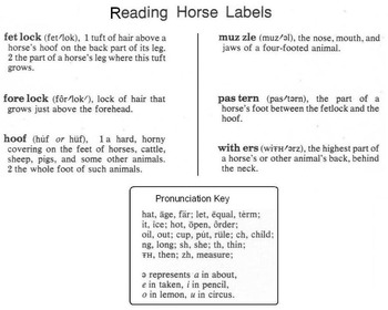 HORSE Diagram Worksheet w/ Dictionary Entries + 6 Multiple Choice ...