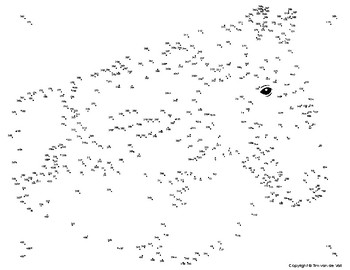 Horse Extreme Dot To Dot Connect The Dots Activity By Tim S Printables