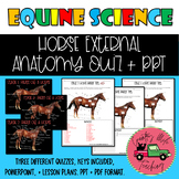 Horse External Anatomy Quiz