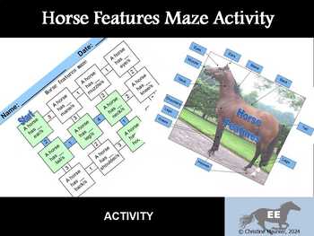 Preview of Horse Features Maze Activity