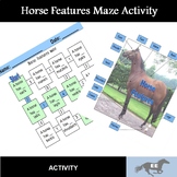 Horse Features Maze Activity