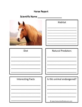 Horse Fill in the Blank One Page Animal Report | TpT
