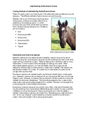 Horse Health Package #2