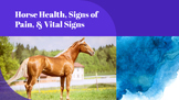 Horse Health & Vital Signs (FFA, 4H, Agriscience, Animal/E