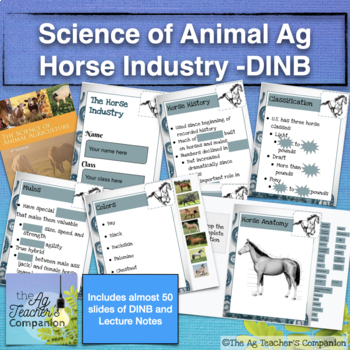 Horse Industry DINB & Lecture Notes, Animal Science | TPT