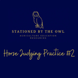 Horse Judging Practice #2