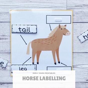 horse labelling by mb learning teachers pay teachers