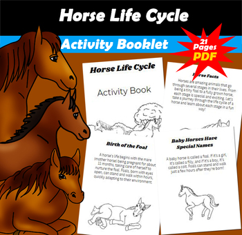 Preview of Horse Life Cycle Activity Book PDF