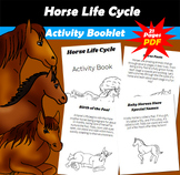 Horse Life Cycle Activity Book PDF