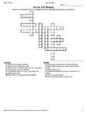 Horse Life Stages Crossword Puzzle (4H, FFA, Horse Camp, P