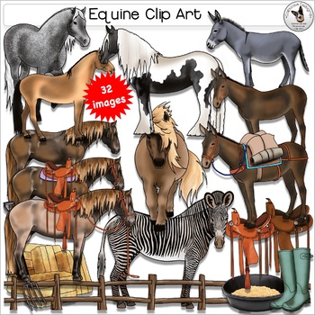 Preview of Equine Clip Art Horse, Pony, Donkey, Mule, Zebra Realistic ClipArt