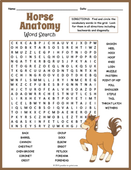 horse word search bundle by puzzles to print teachers pay teachers