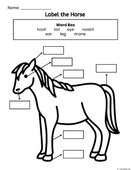 Horse Writing Worksheets and Activities - Labeling, Reading Passage ...