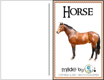 Preview of Horse reading comprehension
