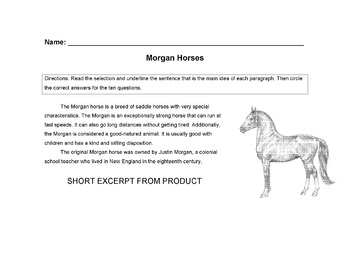 horses morgan horse worksheet 14 main idea vocabulary read comprehension qs