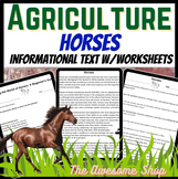 Horses Two Passages & Packets for Agriculture or Animal Science