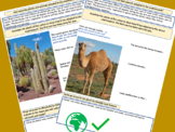 Hot Desert Plant and Animal Adaptations - Camel and Cactus.