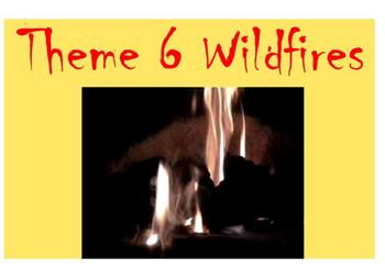 Preview of Houghton Mifflin 4th Grade Theme 6 Wildfires Student Activities