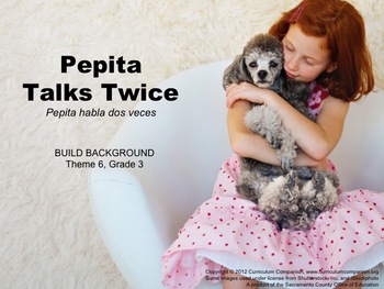 Houghton Mifflin Reading, Grade 3, Pepita Talks Twice Comm