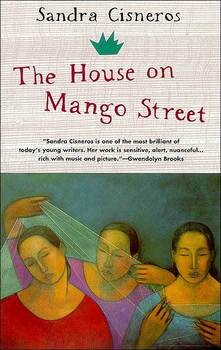 Preview of House on Mango Street Day to Day Lesson Plan (3 Weeks)