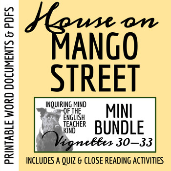 Preview of House on Mango Street Quiz and Close Reading Worksheets Bundle (Vignettes 30-33)