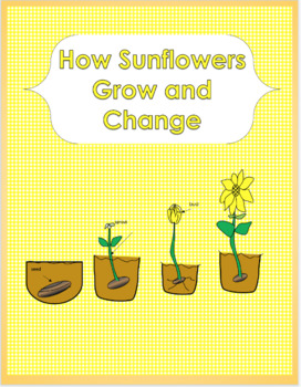 Preview of How A Sunflower Grows and Changes