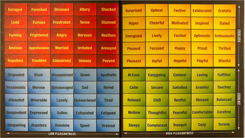 Preview of How Am I Feeling? SEL Vocabulary