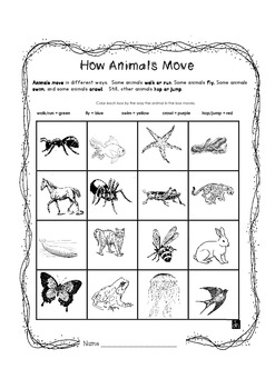 How Animals Move by Just Jan | Teachers Pay Teachers