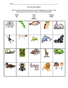 How Animals Move Worksheet by Kathy Chandler | Teachers ... skin diagram google projects 