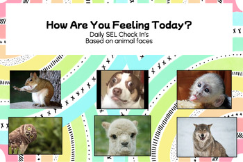 Preview of How Are You Feeling Today? Animals