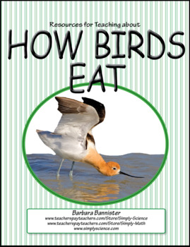 How Birds Eat: Beak Activities, Presentation, Worksheets, Assessments