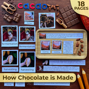 Preview of How Chocolate is Made | Chocolate Unit Study | Chocolate Activity Bundle