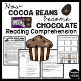 How Cocoa Beans become Chocolate Reading Comprehension and