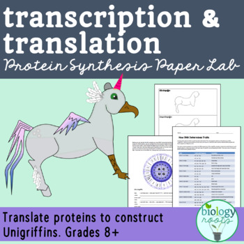 Preview of Protein Synthesis- Transcription and Translation