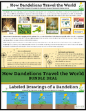 How Dandelions Travel the World BUNDLE (Mini-Unit & Labele
