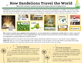 How Dandelions Travel the World Mini-Unit