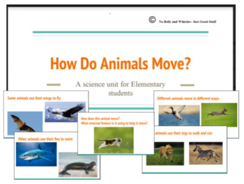 How Do Animals Move? Activity Packet by No Bells and Whistles- Just Good  Stuff