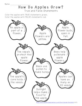 Preview of How Do Apples Grow?  True and False Statements