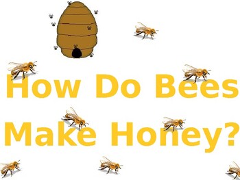 How Bees Make Honey Step-by-Step Process - Kids Facts