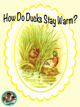 Preview of How Do Ducks Stay Warm? Nonfiction Passage & Printable