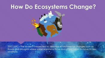 Preview of How Do Ecosystems Change? - Life Science - Interactive PowerPoint