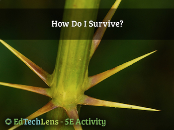 Preview of How do I Survive? - Plant Adaptations for Survival - Home User Activity