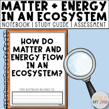 Preview of Matter and Energy in Ecosystems | Printable Notebook ONLY Science Lesson
