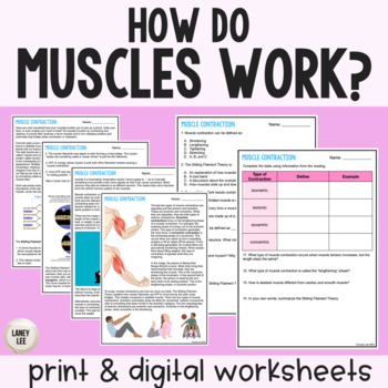 Preview of How Do Muscles Work? - Reading Comprehension Worksheets