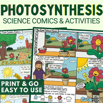 Preview of Photosynthesis & Producers Activities Worksheet 5th Grade Ecosystems NGSS Review