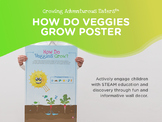 How Do Veggies Grow Poster, Photosynthesis, Biology, Scien